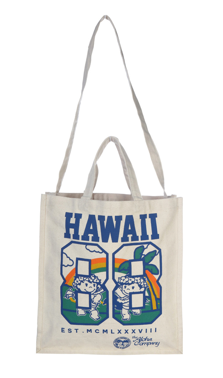 Grocery Bag with Double Handles