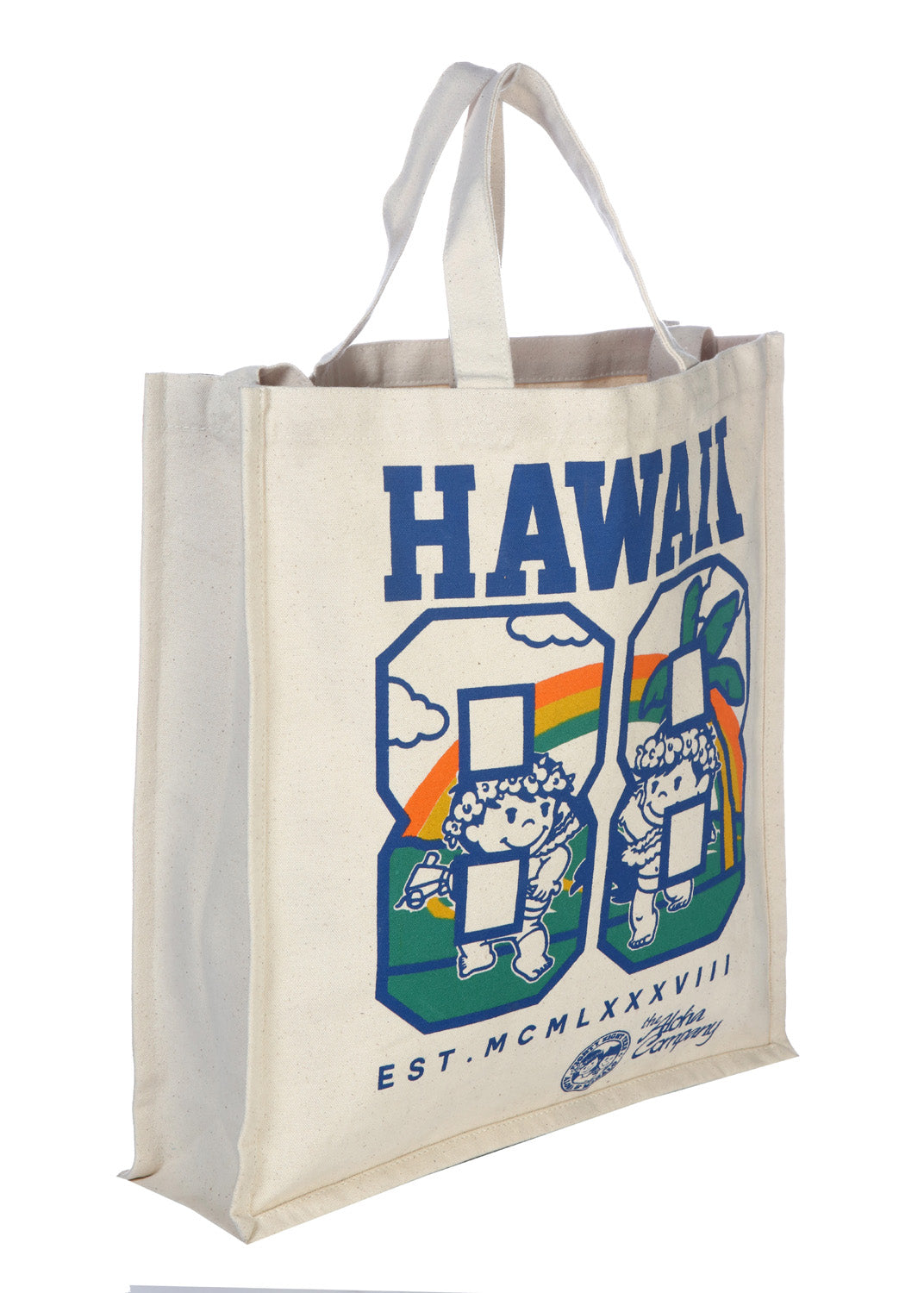 Grocery Bag with Double Handles