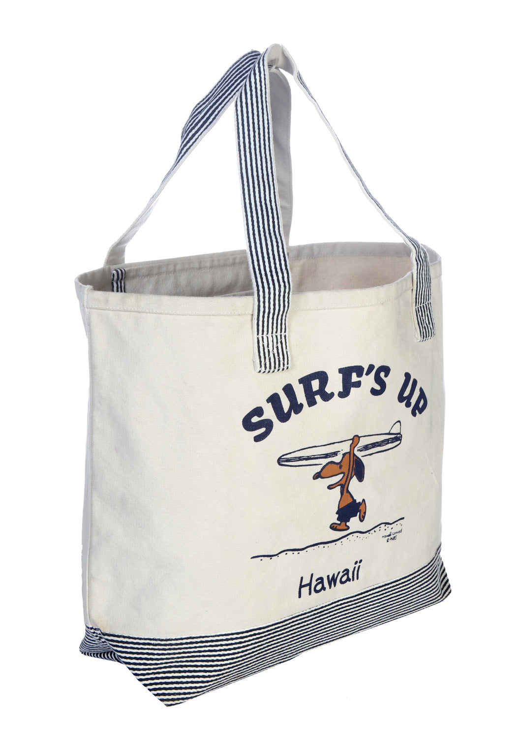Striped Canvas Tote Bag